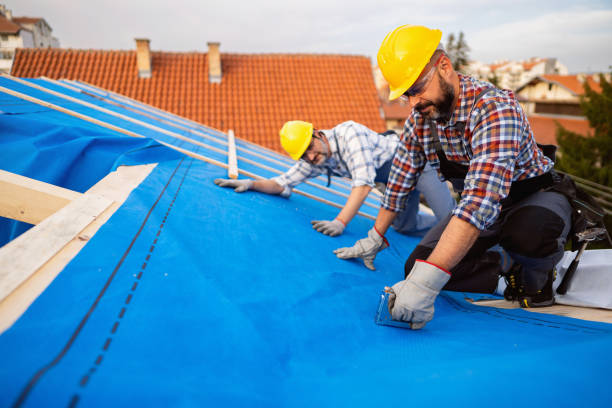 Best Roof Leak Repair  in Barrington, IL
